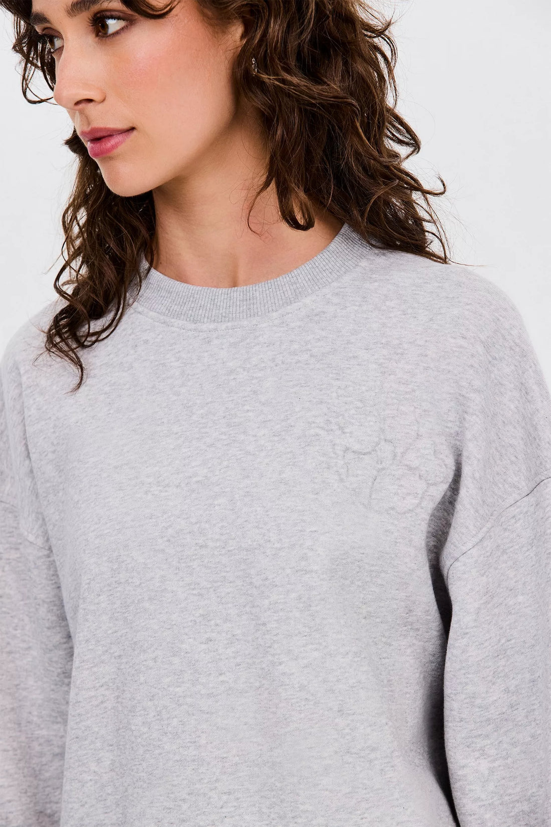 GSF grey bright Sweaters - Swan Sweater van CKS