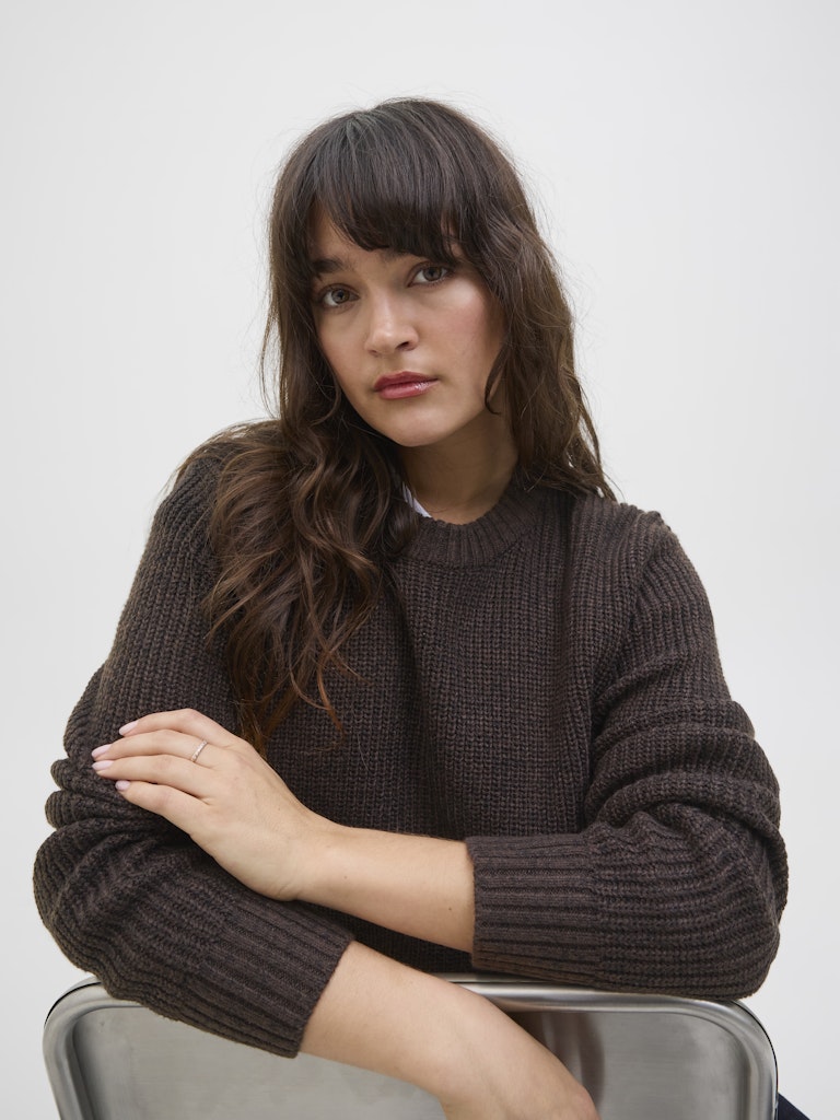 Delicioso Pulls - Jxglobal Crew Neck Knit van JJXX