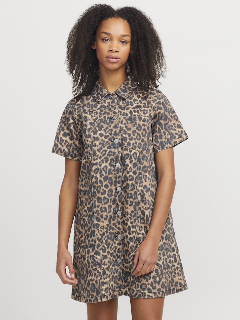 Cornstalk LEOPARD Jurken - Jxsarah Amor Leo A-Shape Ss Dress van JJXX