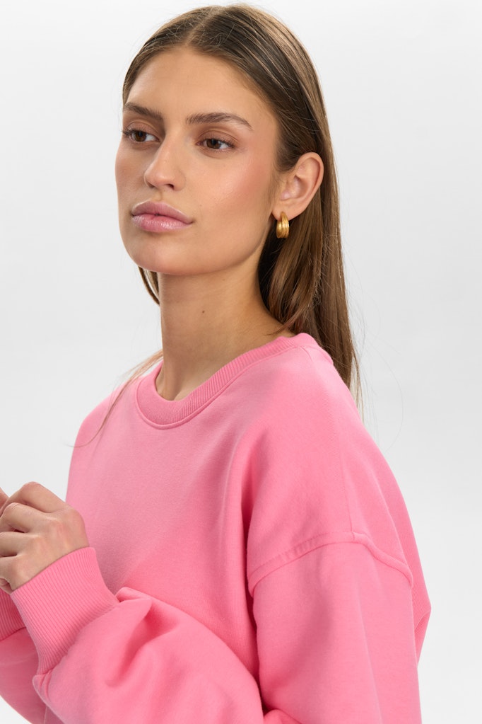 Pink Carnation Sweaters - Numyra Sweat van Numph