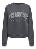 Sweaters - Onlsweat L/S Crewoversize State Sweater Noos - SS25 van Only