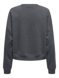 Sweaters - Onlsweat L/S Crewoversize State Sweater Noos - SS25 van Only