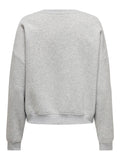 Sweaters - Onlsweat L/S Crewoversize State Sweater Noos - SS25 van Only