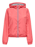 Jassen - Onlcandy Spring Jacket van Only