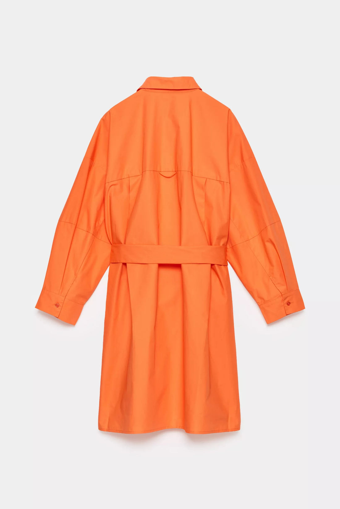 ORF-feloranje Jurken - Dali Dress van CKS