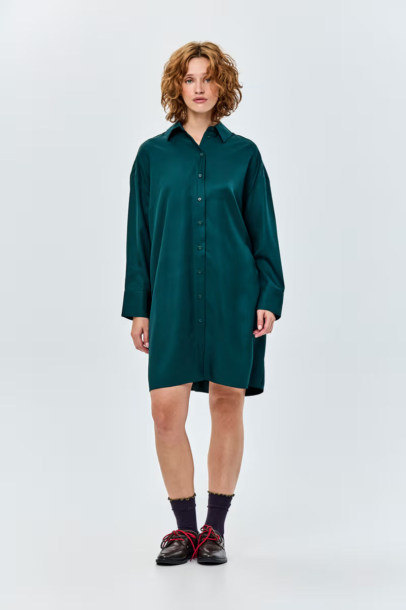Dalusta Dress
