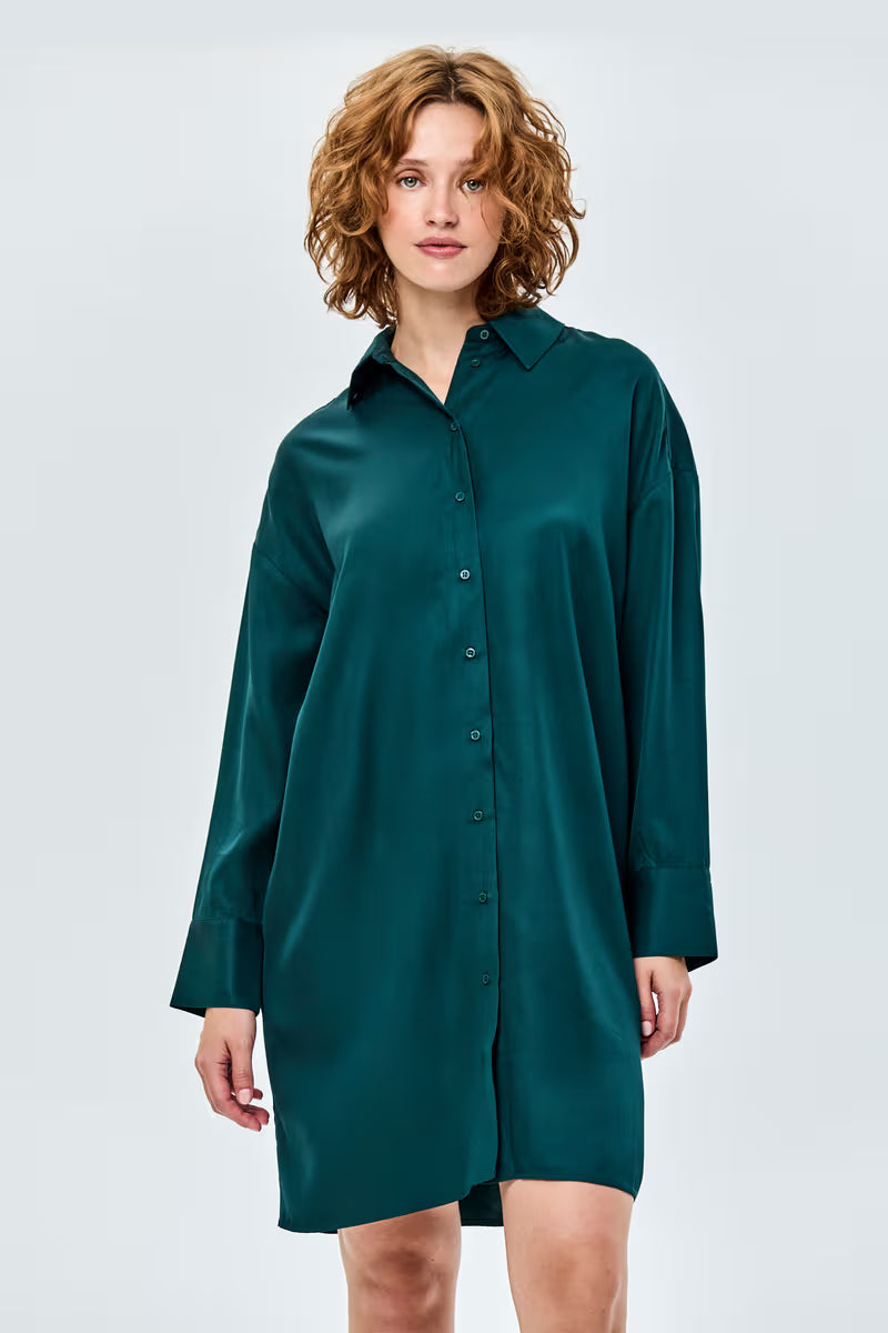 Dalusta Dress