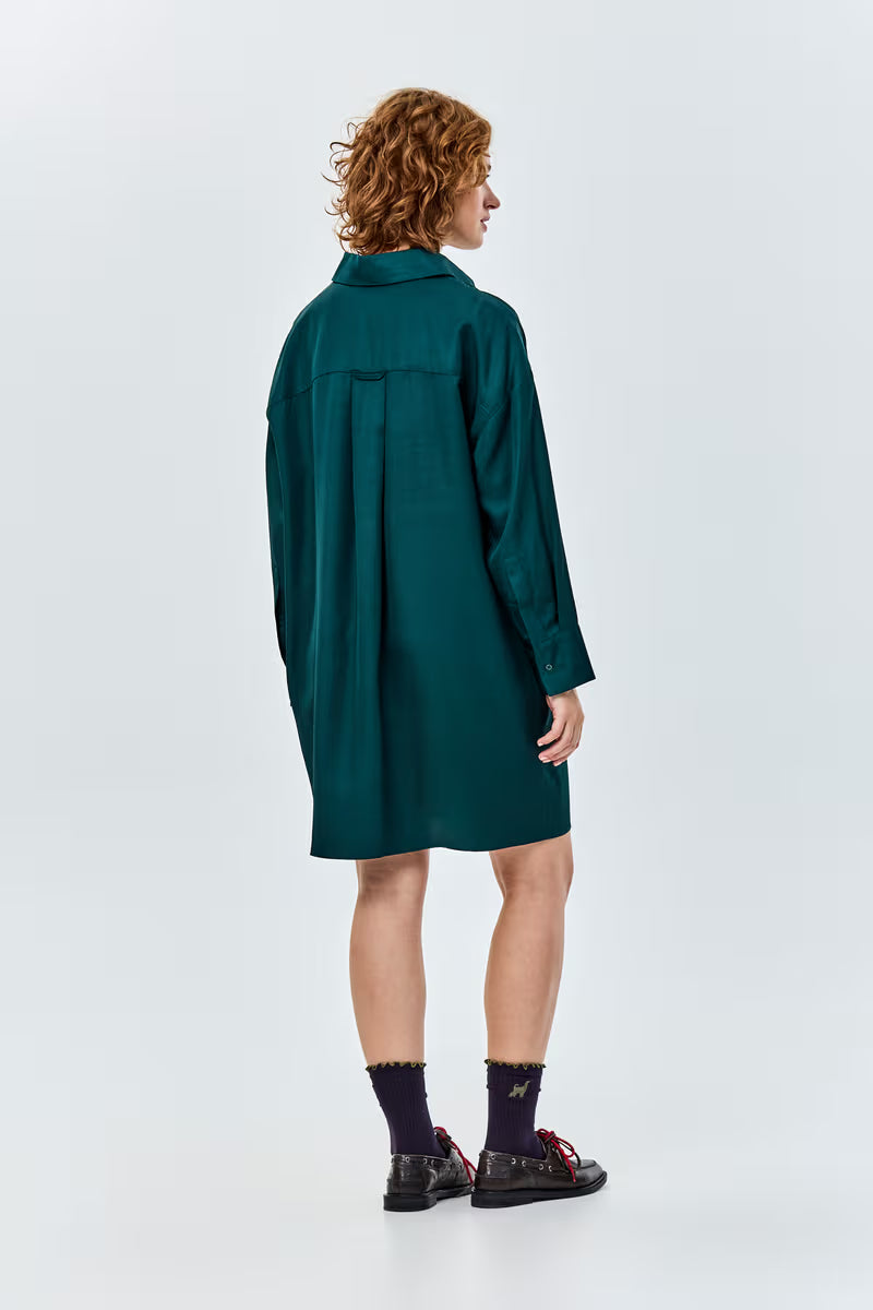 Dalusta Dress