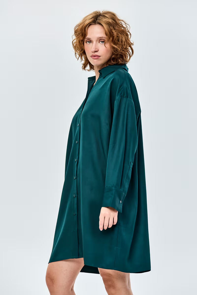 Dalusta Dress