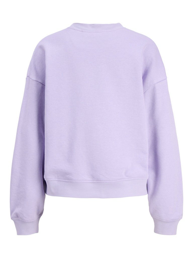 Sweaters - Jxalfa Rlx Ls Crew Sweater - SS26 van JJXX