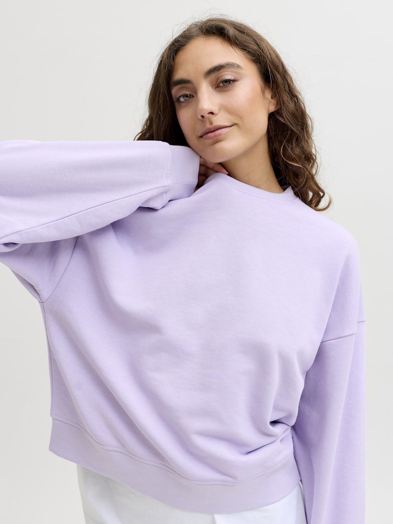 Sweaters - Jxalfa Rlx Ls Crew Sweater - SS26 van JJXX