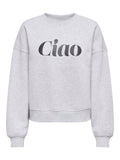 Light grey melange Sweaters - Onlbest L/S Print Crew Neck Sweat van Only
