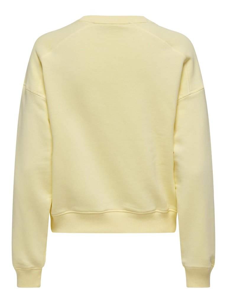 Sweaters Onldiana L/S Sporty O-Neck Sweat van Only