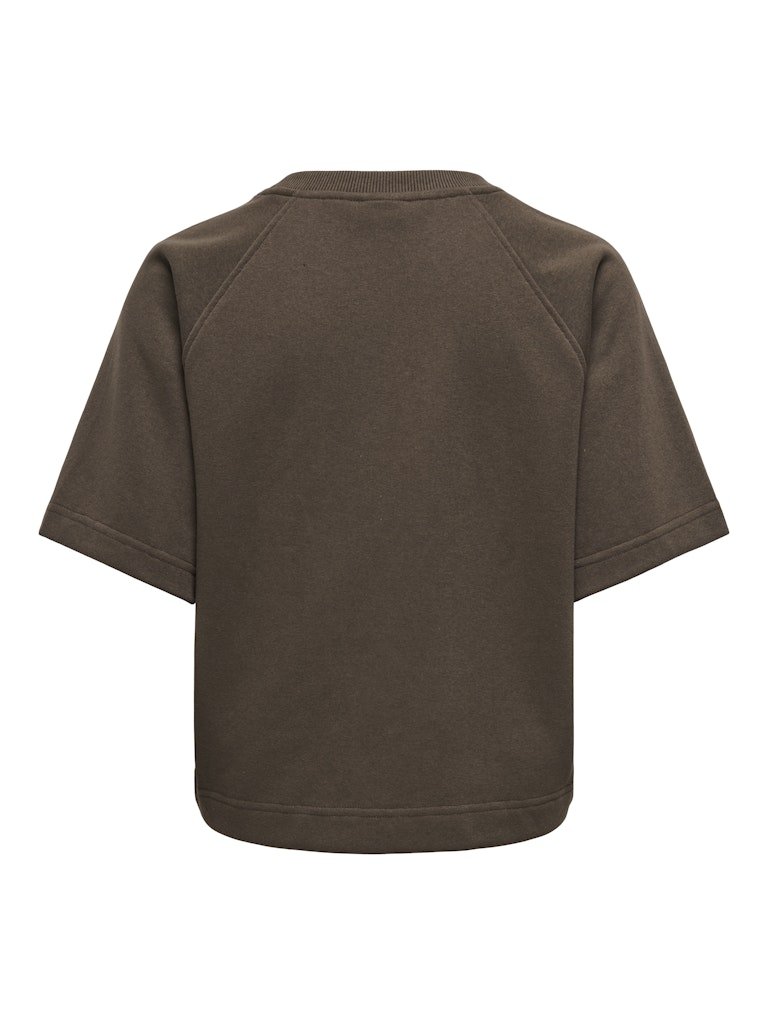 Onlofelia Ss Raglan Sweat van Only – Sweaters voor dames | Meisjes Brugge