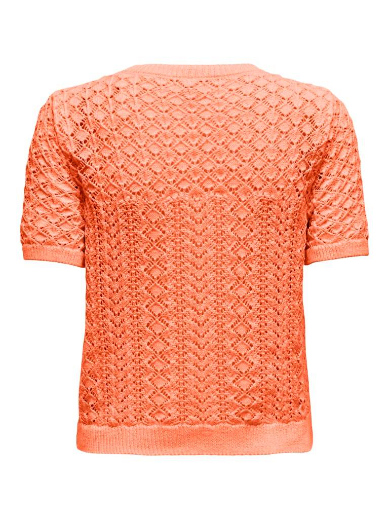 Onlsaga Life Ss O-Neck Knit van Only – Pulls voor dames | Meisjes Brugge