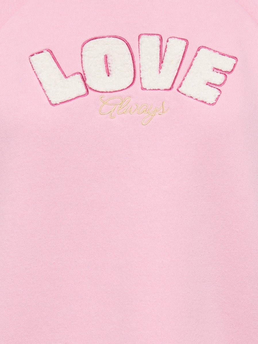 Sweaters - Onlsina S/S O-Neck Terry Emb Sweat Top van Only