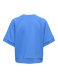 Sweaters - Onlsina S/S O-Neck Terry Emb Sweat Top van Only