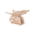 Tan Mix One size Haar Accessoires - Pretty Butterfly Claw van SUI AVA