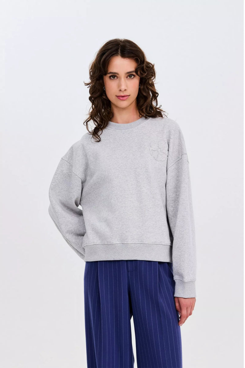 GSF grey bright Sweaters - Swan Sweater van CKS