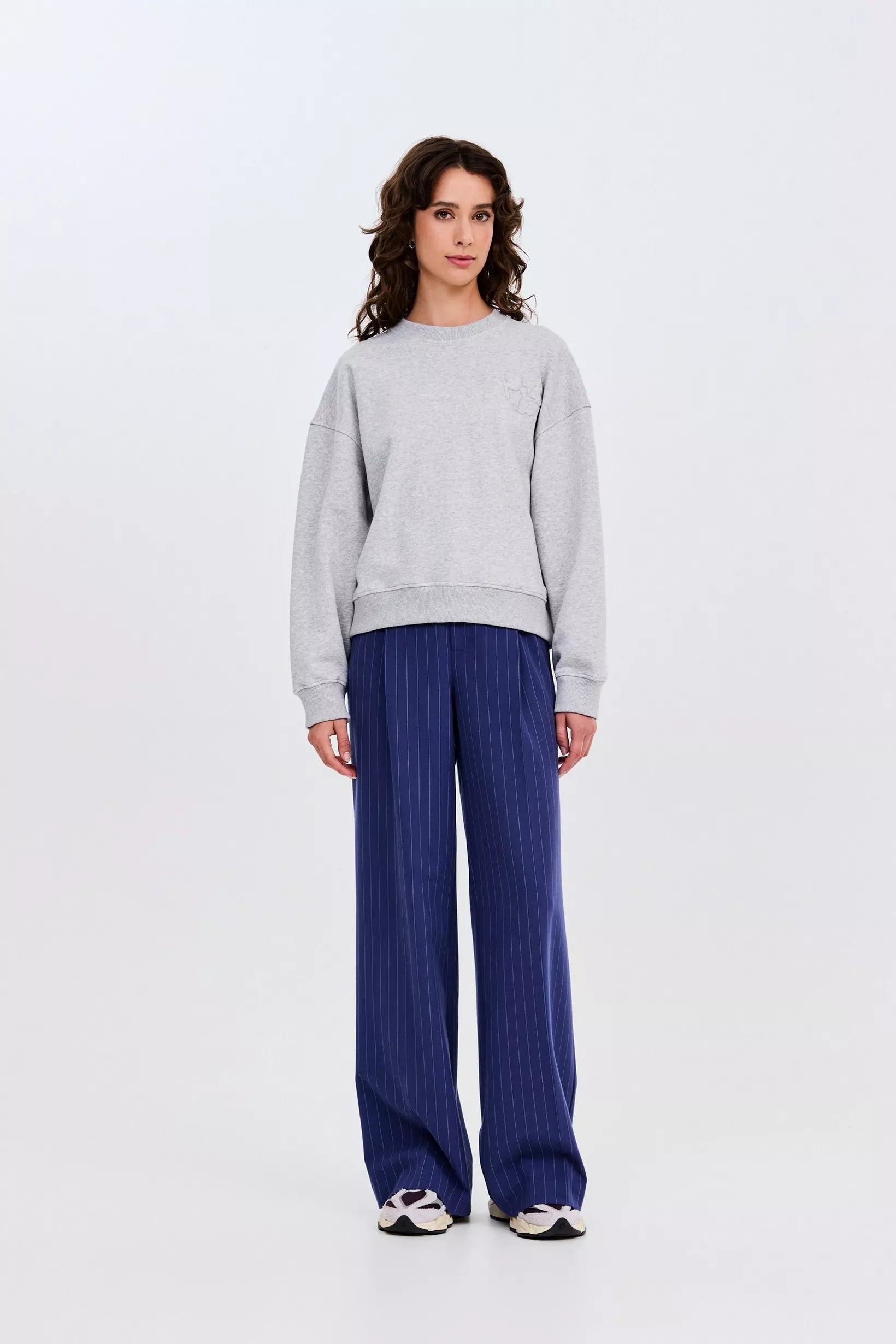 Sweaters - Swan Sweater van CKS